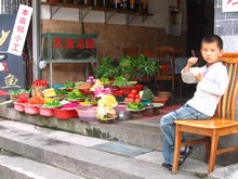 vignette N_yunnan_2006_352 