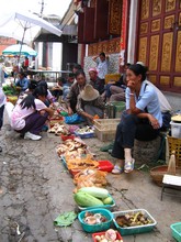 vignette N_yunnan_2006_358 