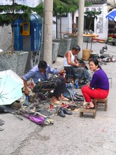 vignette N_yunnan_2006_365 