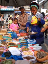 vignette N_yunnan_2006_374 