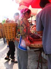 vignette N_yunnan_2006_376 