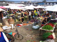 vignette N_yunnan_2006_381 