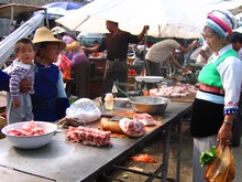 vignette N_yunnan_2006_382 