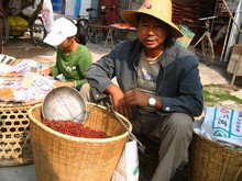 vignette N_yunnan_2006_385 