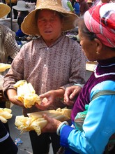 vignette N_yunnan_2006_389 