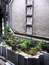 vignette N_yunnan_2006_393 