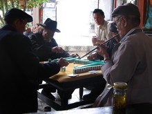 vignette N_yunnan_2006_413 