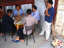 vignette N_yunnan_2006_428 