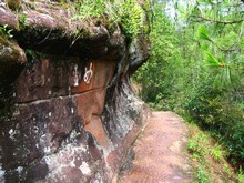 vignette N_yunnan_2006_496.jpg 
