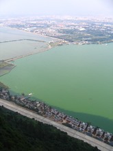 vignette N_yunnan_2006_779.jpg 